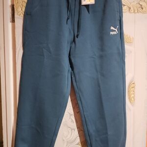 Puma Men's Teal Joggers